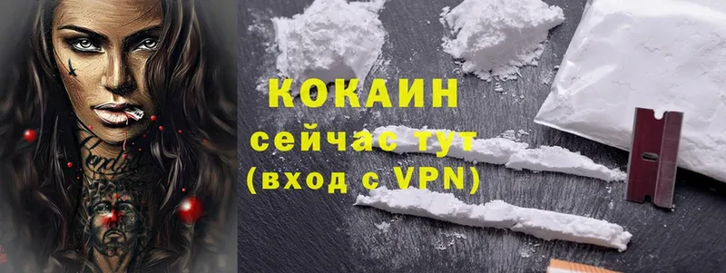 дарк нет формула  Каменногорск  Cocaine Fish Scale  где купить наркотик 